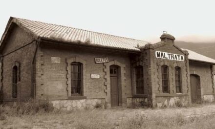 El regreso del jarocho 