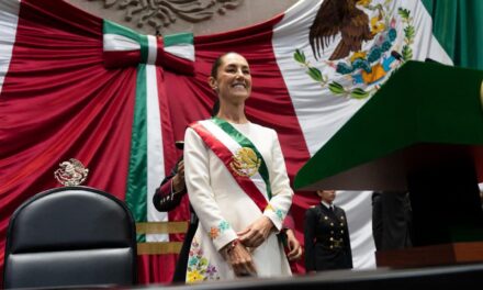 Primer año de gobierno de la presidenta