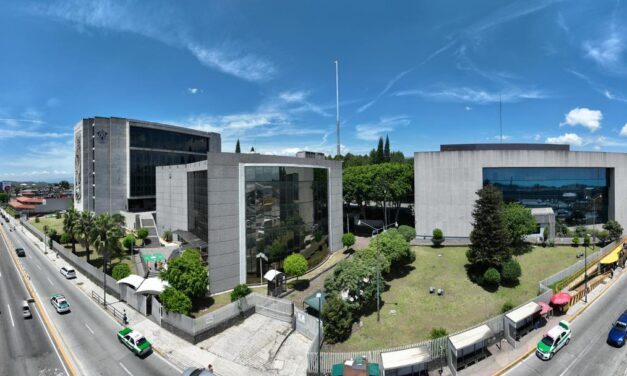 La mano que mece al Niño en el Poder Judicial