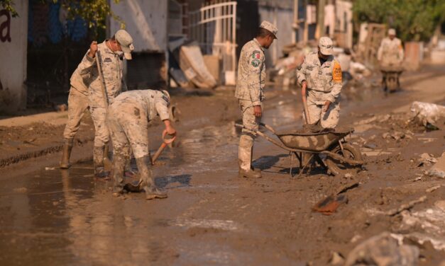 Nuestro Gobierno sí cumple: familias de Álamo reciben apoyos alimentarios