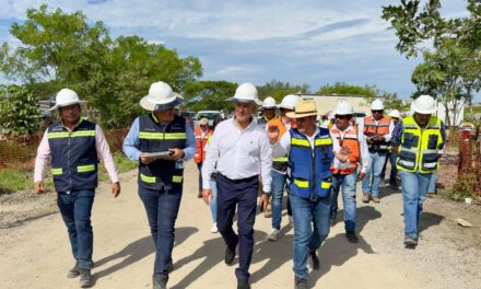 Supervisa secretario Jesús Esteva Medina avances del distribuidor vial de acceso al puerto de Veracruz