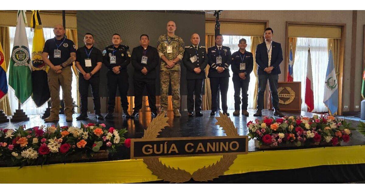 Veracruz, ejemplo internacional; modelo de Perros Multipropósito destaca en Colombia