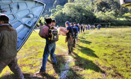 Humanismo y trabajo, la respuesta de Veracruz ante la emergencia: Rocío Nahle