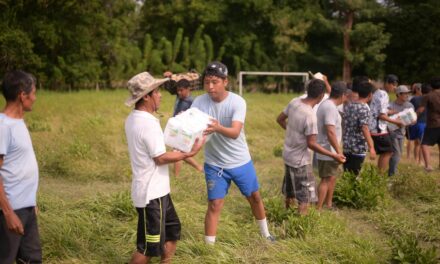 ¡Juntos vamos a salir adelante! Veracruz avanza en reconstrucción con apoyo de sociedad y Fuerzas Armadas