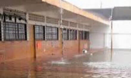 Continúan 31 comunidades incomunicadas en el norte de Veracruz, se registran afectaciones en 411 escuelas