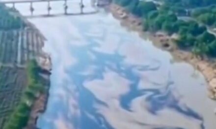 Atiende PEMEX derrame de hidrocarburo en río Pantepec en norte de Veracruz