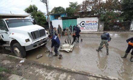 Despliegue masivo de fuerzas Federales y Estatales en Álamo para labores de limpieza