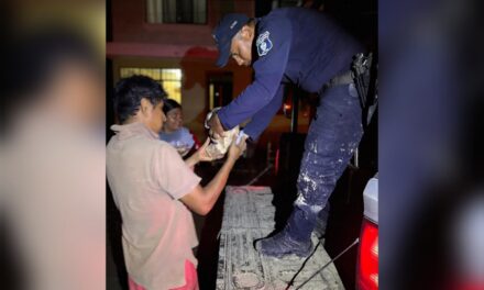 Plan Tajín: Más de 46 mil raciones y 4 mil rescates en la zona norte