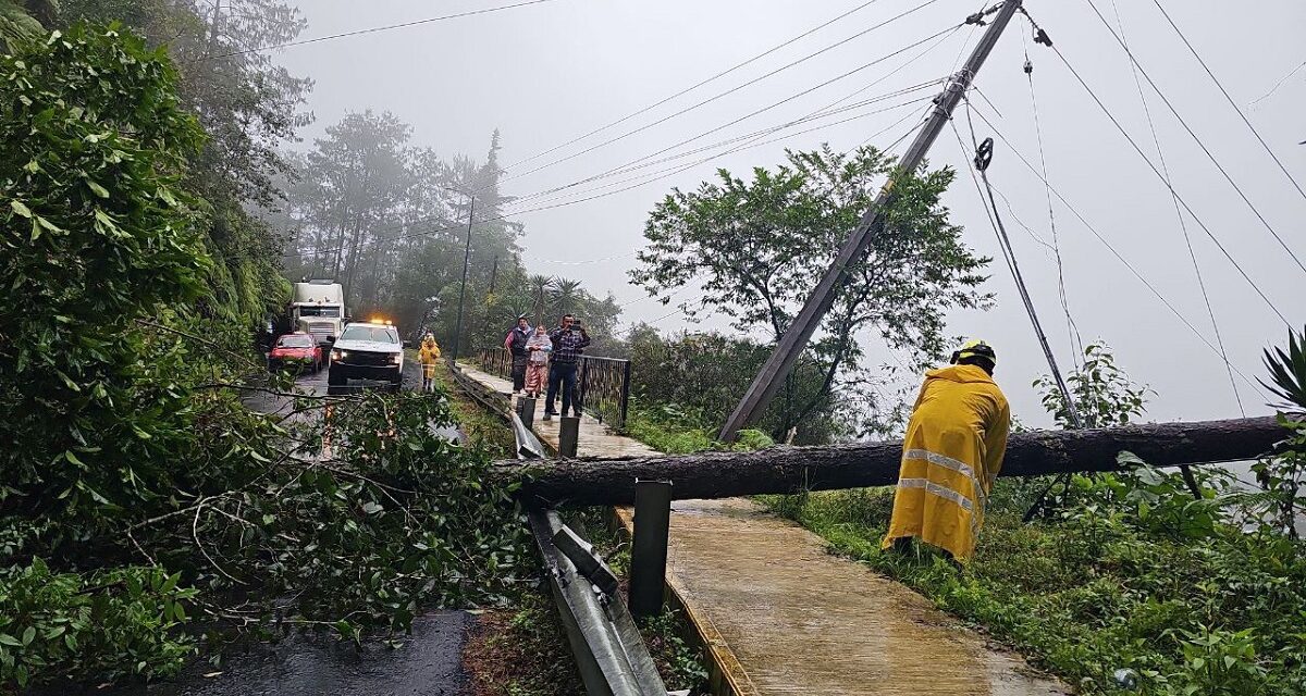 La CFE informa avances en el restablecimiento del servicio eléctrico en Veracruz