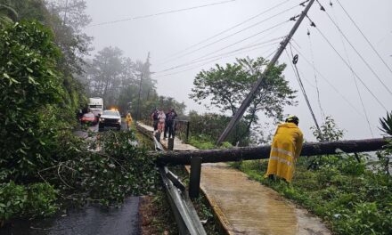 La CFE informa avances en el restablecimiento del servicio eléctrico en Veracruz