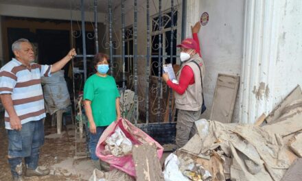 “Bienestar en modo emergente”