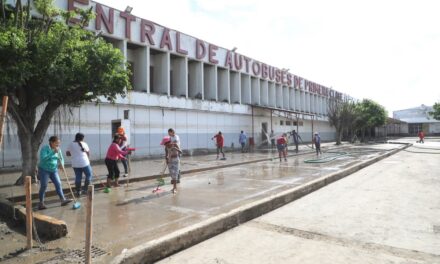 Con respaldo de la Presidenta, Veracruz está de pie y avanza en la limpieza y atención sanitaria: Rocío Nahle