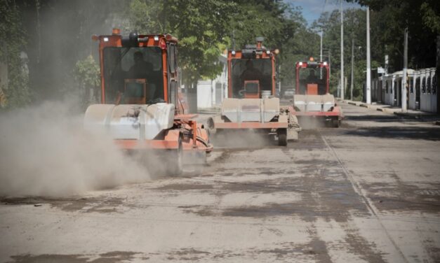 La recuperación de Álamo continúa como una tarea colectiva