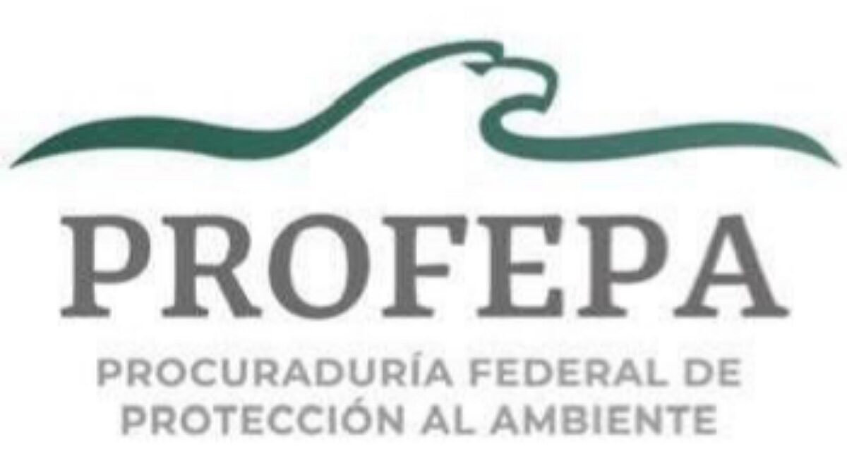 Política al día Express