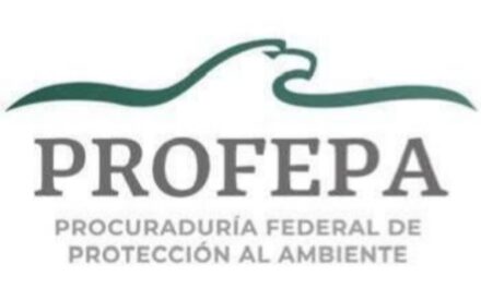 Política al día Express