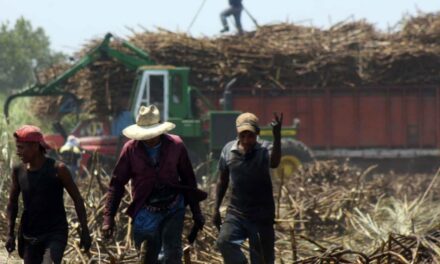 Cañeros veracruzanos beneficiados con aranceles a la importación de azúcar al país