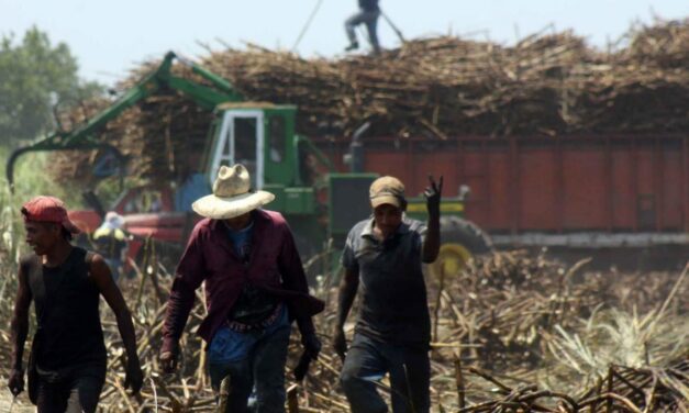 Cañeros veracruzanos beneficiados con aranceles a la importación de azúcar al país
