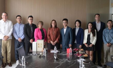 Rocío Nahle muestra a empresarios asiáticos las bondades de los polos de desarrollo veracruzanos