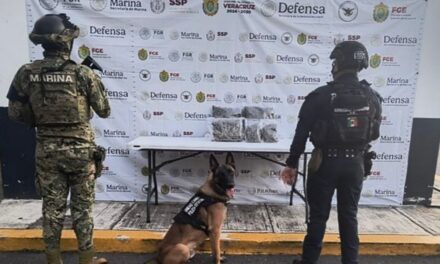 Decomisa SSP 116 dosis de estupefacientes durante operativos en 20 municipios