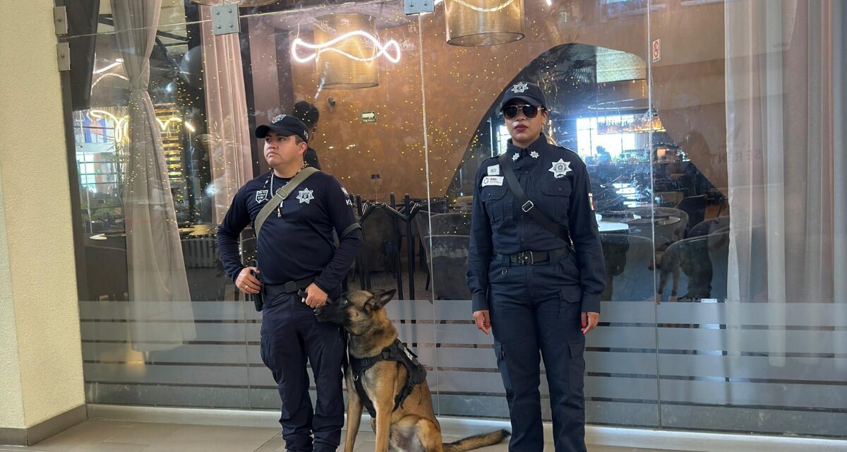 Veracruz mantiene jornadas de Buen Fin sin incidentes relevantes: SSP