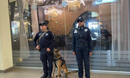 Veracruz mantiene jornadas de Buen Fin sin incidentes relevantes: SSP