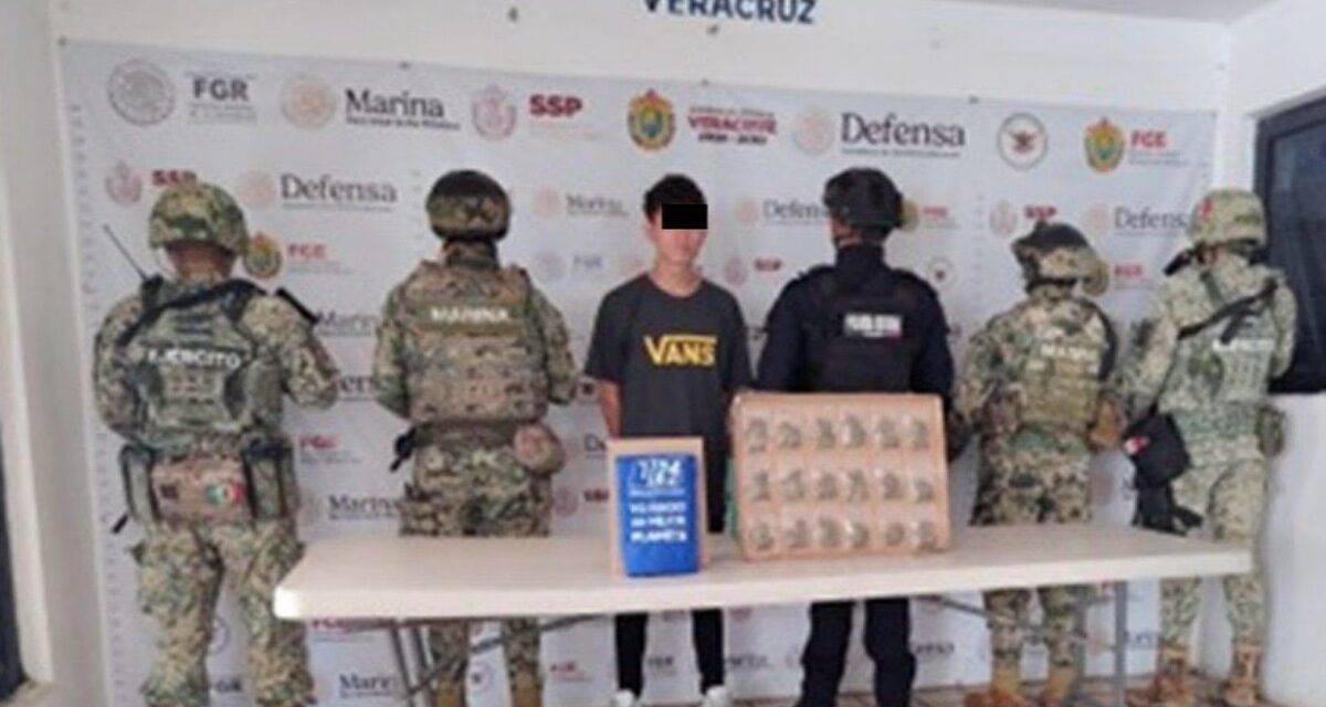 Detiene SSP a 12 personas por distintos delitos, en operativos realizados en 19 municipios