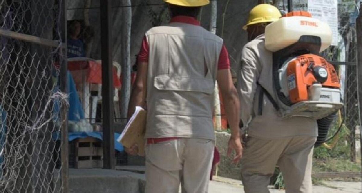 Incrementan casos de dengue en el país, suman 14 mil 652; Veracruz llega a 2 mil 257