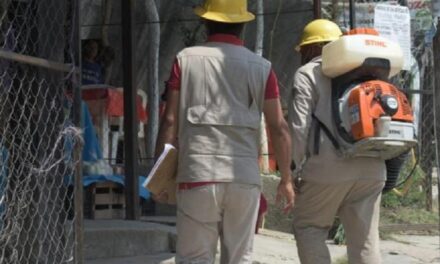 Incrementan casos de dengue en el país, suman 14 mil 652; Veracruz llega a 2 mil 257