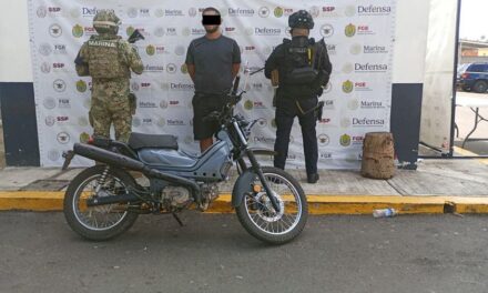 Despliegues estratégicos inhiben delitos en 17 municipios: SSP