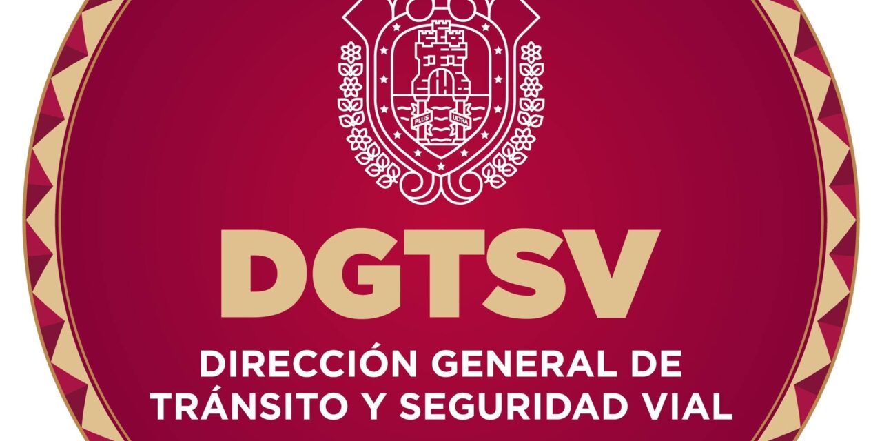 Las nuevas licencias de conducir