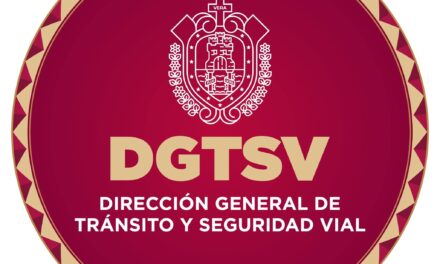 Las nuevas licencias de conducir