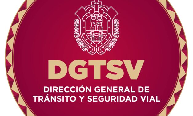 Las nuevas licencias de conducir