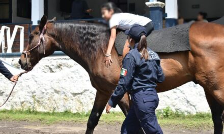 Equinoterapia de SSP, motor que impulsa y cambia la vida de niñas, niños y jóvenes con discapacidad
