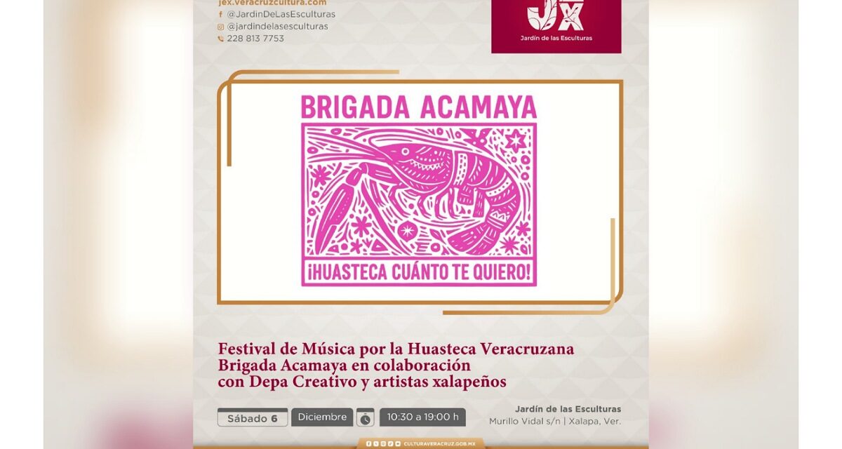 Artistas y colectivos invitan a disfrutar del Festival Música por la Huasteca en el JEX