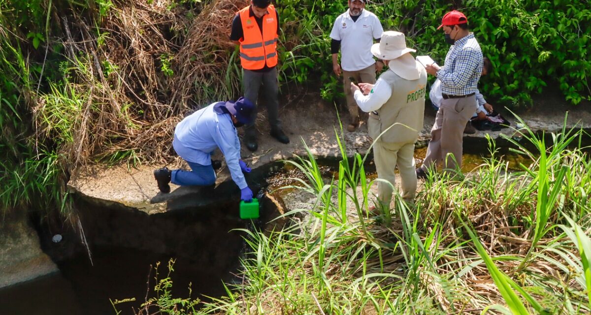 Inspecciones, monitoreo ambiental y operativos en el sur de Veracruz: PMA