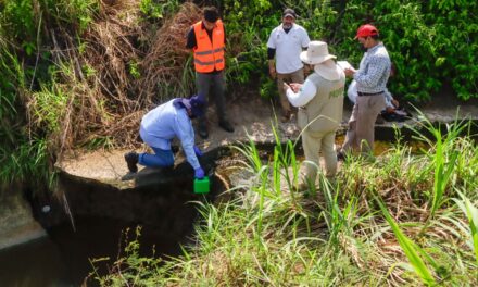 Inspecciones, monitoreo ambiental y operativos en el sur de Veracruz: PMA