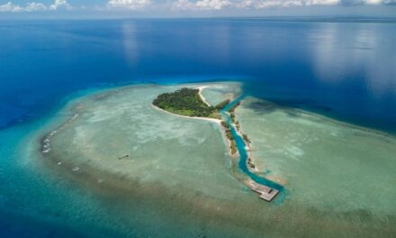Atrévete a vivir tus vacaciones de invierno en playas veracruzanas