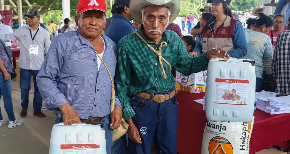 Gobierno de Veracruz invierte en la recuperación del sector primario tras las inundaciones en la zona norte