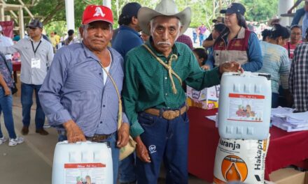 Gobierno de Veracruz invierte en la recuperación del sector primario tras las inundaciones en la zona norte