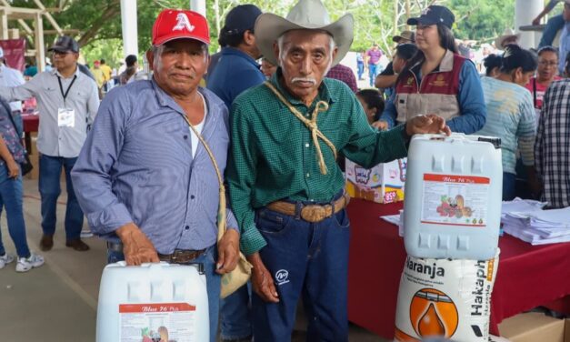 Gobierno de Veracruz invierte en la recuperación del sector primario tras las inundaciones en la zona norte