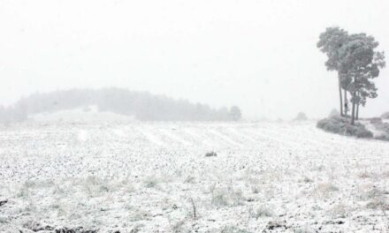 Cofre de Perote registra la primera nevada de la temporada