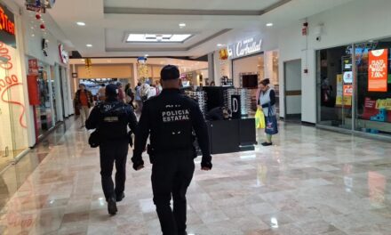 Mil 500 elementos de la SSP resguardan la seguridad durante Operativo Guadalupe–Reyes