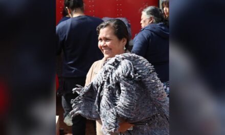 Con más de 3 mil despensas y 6 mil cobijas, Abrigando Corazones llega a otras 17 localidades