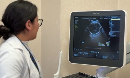 Salud Materna y Perinatal, acompañamiento médico y redes de apoyo