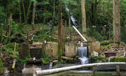 SECTUR inicia visitas a Experiencias Turísticas Comunitarias de la zona centro de Veracruz