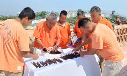 Proyecto Xanath, cultivo de vainilla para la reinserción social: SSP