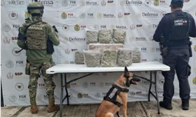 Rescata SSP a cinco personas y asegura 13 kilos y 486 dosis de presuntos estupefacientes
