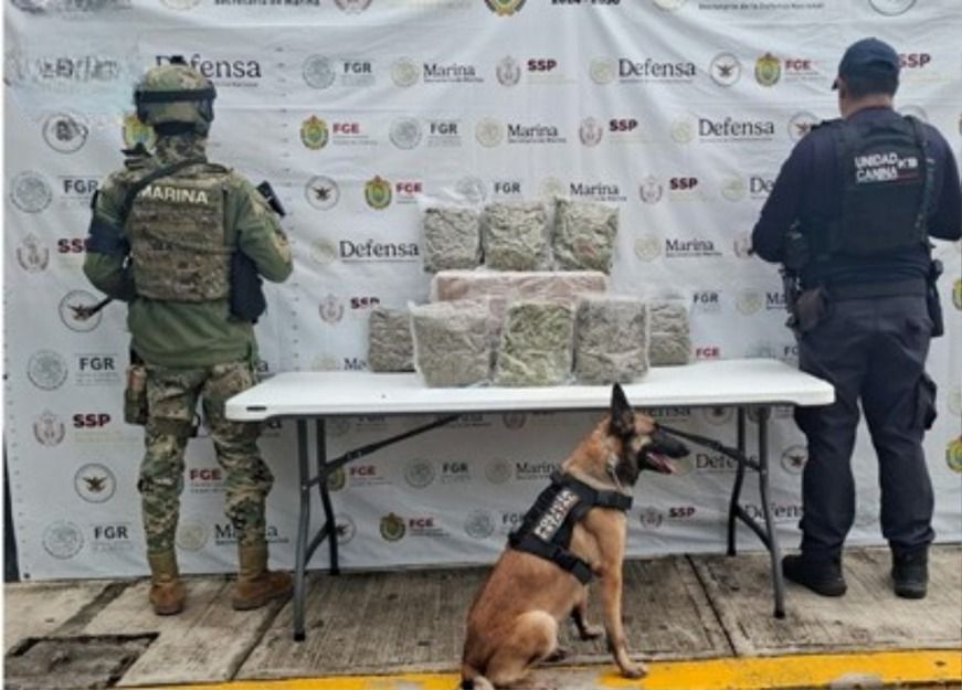 Rescata SSP a cinco personas y asegura 13 kilos y 486 dosis de presuntos estupefacientes