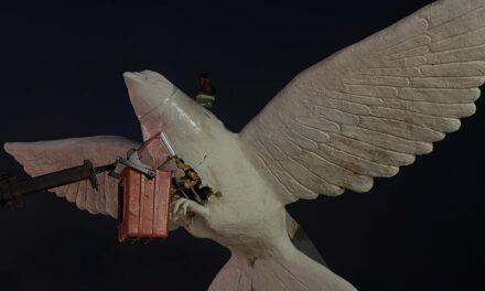 Embalan Paloma del Espíritu Santo como medida preventiva ante Frente Frío 27