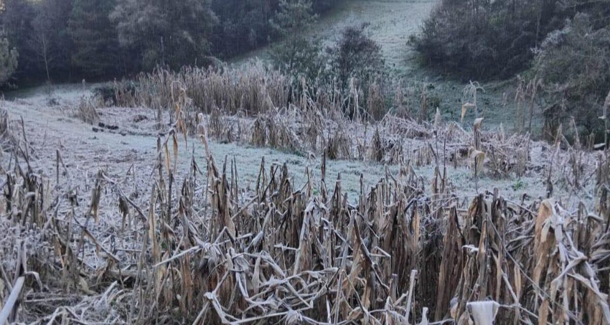 Zalayeta registra -4 grados la mañana de este jueves, la más baja de la temporada en Veracruz